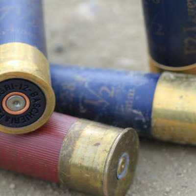 shells shot gun shells with mild corrosion